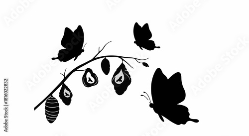 Butterflies emerge from cocoons on a branch, symbolizing transformation and new beginnings.