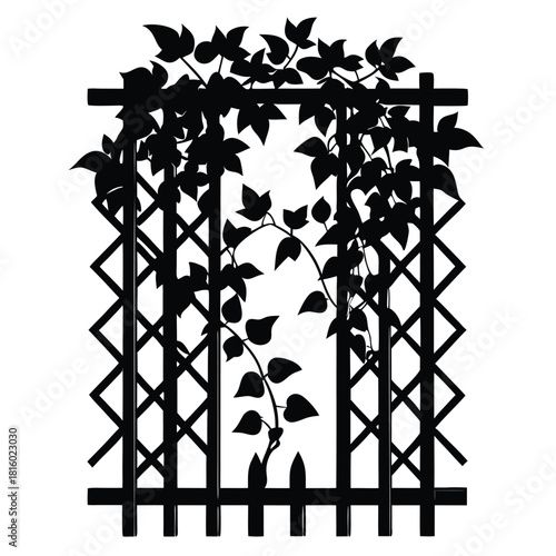 ivy growing on wooden trellis black and white silhouette