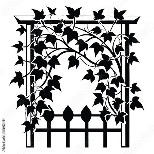 ivy growing on wooden trellis black and white silhouette