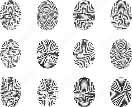 Fingerprint vector illustration. fingerprint scan