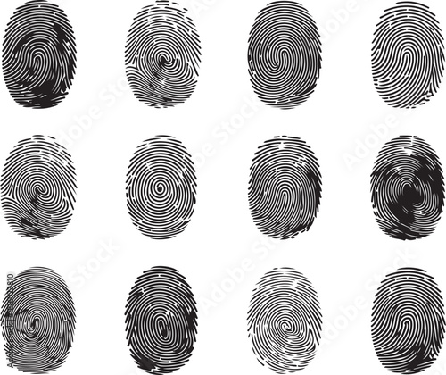 Fingerprint vector illustration. fingerprint scan