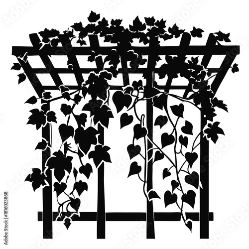 ivy growing on wooden trellis black and white silhouette