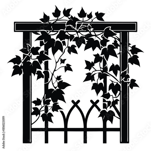 ivy growing on wooden trellis black and white silhouette