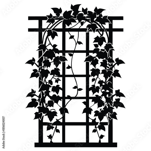 ivy growing on wooden trellis black and white silhouette
