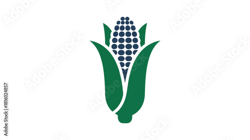 A stylized graphic illustration of a single ear of corn with green husks and a dark blue kernel silhouette on a white background silhouette