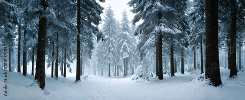 Quiet mindfulness blooms like a soft whisper among snow-covered pines in winters hush