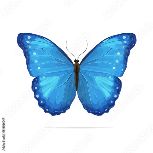 A_Simple_flat_2D_icon_of_a_blue_morpho_butterfly_isolated_simple illustration with EPS format design, simple flat 2D icon, minimalist design, clipart