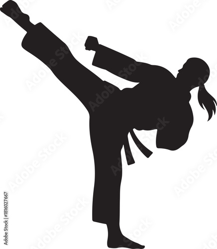 Karate fighter woman