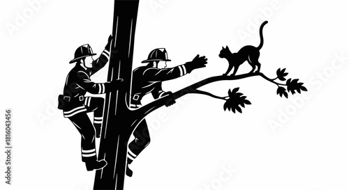 Brave firefighters rescue a scared cat stranded high in a tree