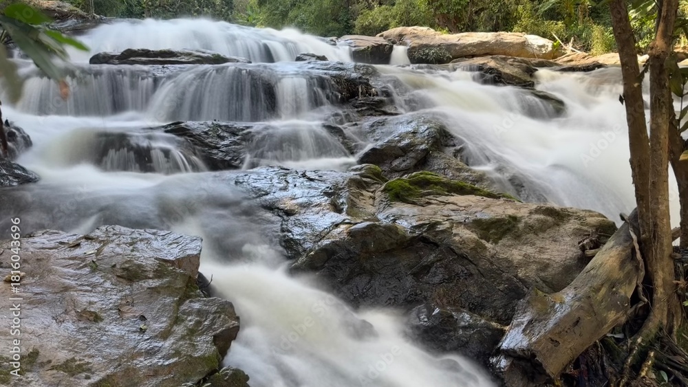 Fototapeta premium waterfall in the forest