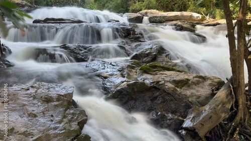 waterfall in the forest