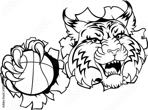 A wildcat or bobcat basketb...