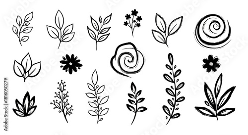 Delicate floral sketches and elements rendered in monochrome with rustic charm set against a stark