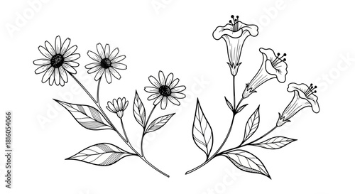 Elegant monochrome floral arrangement featuring delicate blooms and intricate line drawings