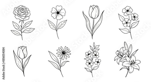 Elegant floral outlines showcase diverse botanical beauty with delicate designs minimal art