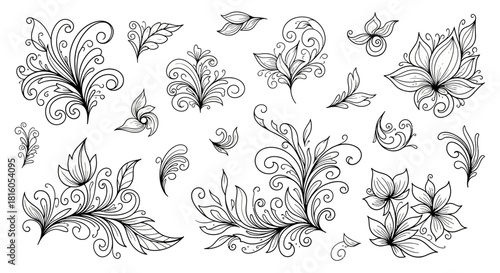 Elegant botanical elements and flourishes in a hand-drawn style for decorative projects