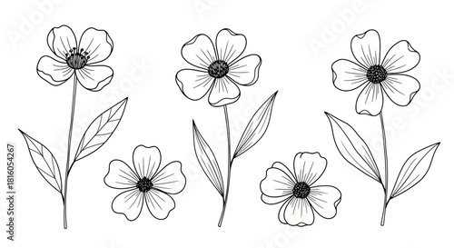 Elegant Floral Line Art Collection with Graceful Petals and Delicate Stems in Black and White