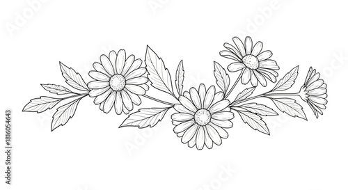 Elegant linear floral arrangement featuring chamomile blossoms and delicate foliage composition