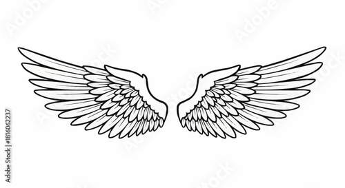 Detailed Outline of Angel Wings Spread Open.