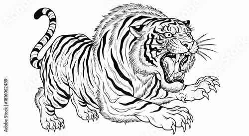 Detailed black and white line drawing of a fierce roaring tiger.