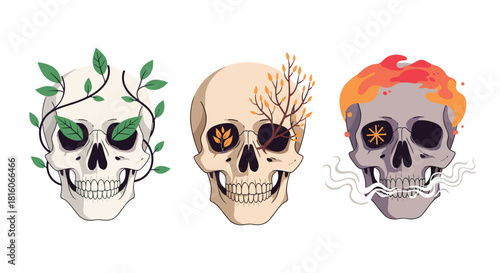 Set of three stylized human skulls decorated with natural elements like green vines autumn leaves and fire with smoke.