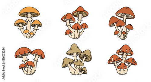 Set of six clusters of hand-drawn retro style mushrooms in various earthy tones isolated on a white background design.