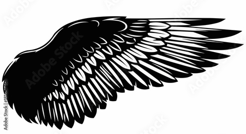 Detailed Black Wing Illustration with Feathered Texture and Dynamic Spread.