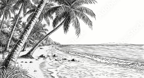 Tropical beach with palm trees and ocean waves hand drawn illustration.