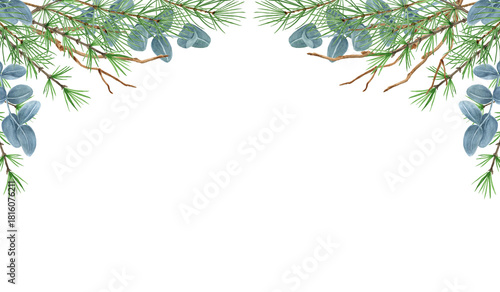 Christmas frame with winter greenery, spruce, pine tree twig and eucalyptus branch. New Year design for greeting or invitation.