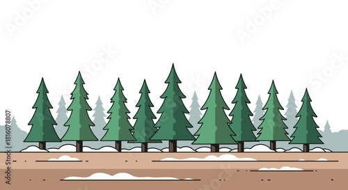 Evergreen trees in a snowy landscape with white background  