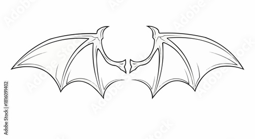 Detailed illustration of symmetrical bat wings with intricate vein patterns.