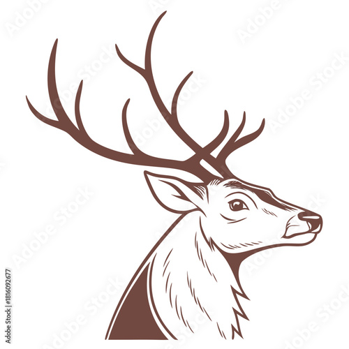 Deer head with antlers  winter wildlife illustration
