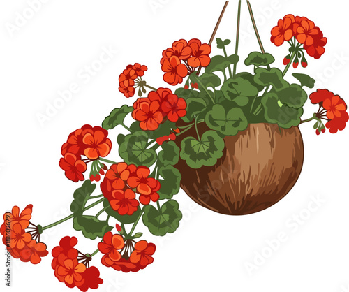 crimson cascade geraniums in a rustic basket, welcoming summers embrace, isolated on transparent background