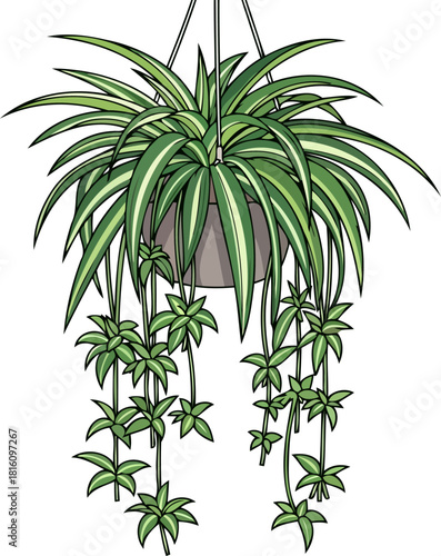 natures air purifier dynamic green growth enhancing indoor living, isolated on transparent background