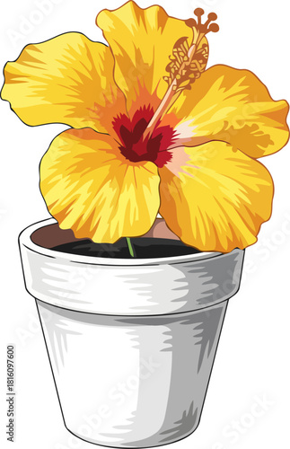 sunny escape vibrant hibiscus blooms bring tropical joy to any space, isolated on transparent background