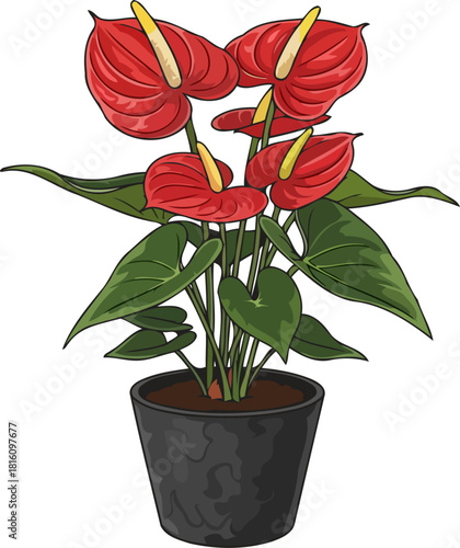 tropical hearts embrace bold red blooms brighten modern living spaces, isolated on transparent background