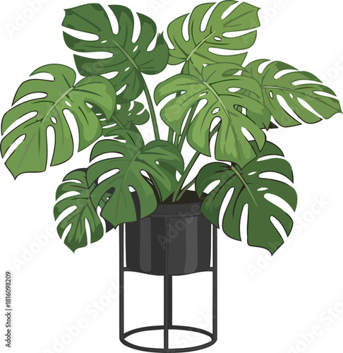 architectural greens sculptural foliage defining contemporary indoor spaces, isolated on transparent background