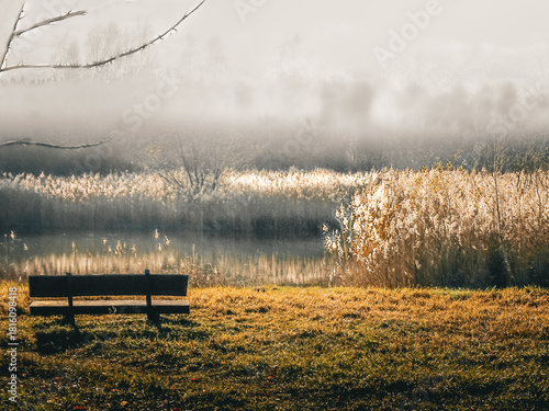 bench in the fog
