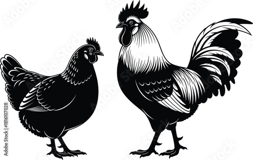 Black silhouette of a rooster and a hen standing together, farm animal vector illustration isolated on white background for agriculture logo design
