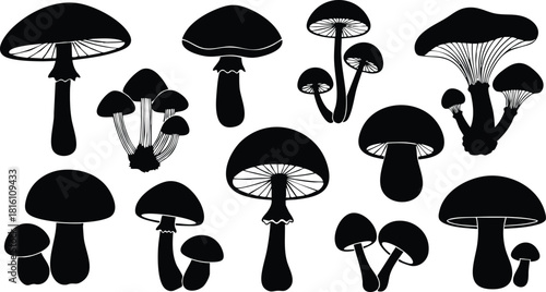 Various mushroom silhouettes showcasing diverse shapes and sizes for artistic and educational purposes 