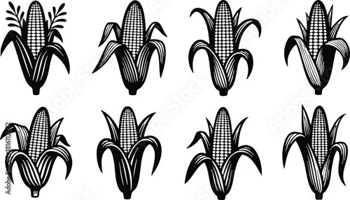 Corn vector illustrations featuring various designs of corn cobs arranged in a grid pattern for agricultural themes 