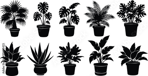 Various indoor plants in pots illustrated in black silhouette style for home decor and gardening enthusiasts 