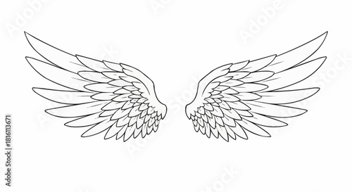 Detailed illustration of angel wings with intricate feather design.