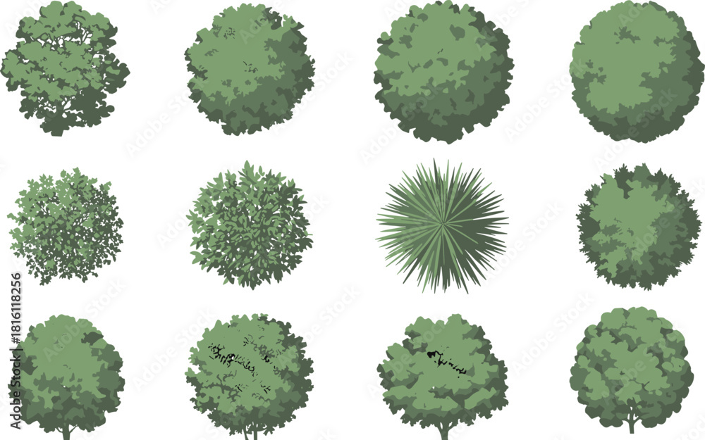 Fototapeta premium Top view tree icons, foliage patterns, landscape vector set, architectural vegetation design, garden planning elements, isometric canopy illustration