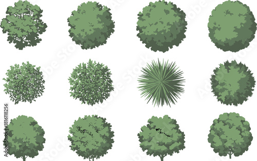 Top view tree icons, foliage patterns, landscape vector set, architectural vegetation design, garden planning elements, isometric canopy illustration