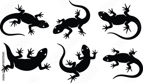 Lizards in various poses showcasing unique silhouettes for creative designs and art projects 