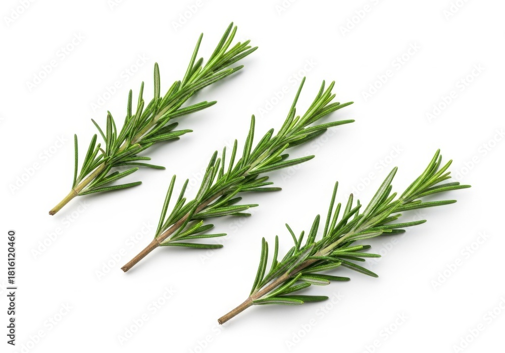 Fototapeta premium Fresh rosemary sprigs isolated on white background