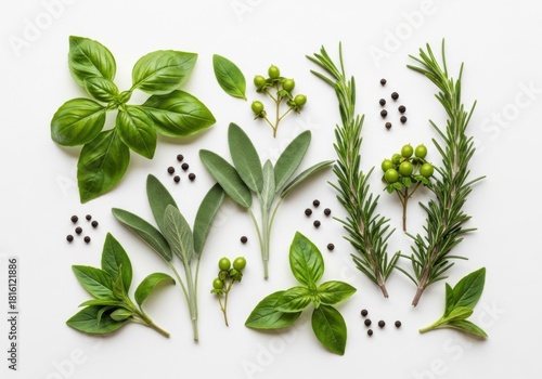 Fototapeta Naklejka Na Ścianę i Meble -  Fresh culinary herbs and spices isolated on cream beige background