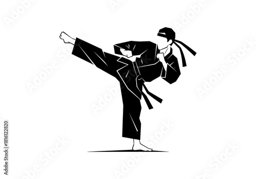 Dynamic martial artist performing high kick in black and white silhouette style
