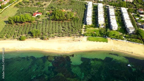Aerial Drone View of Olive Groves Leading to the Sea in Gerakini, Greece